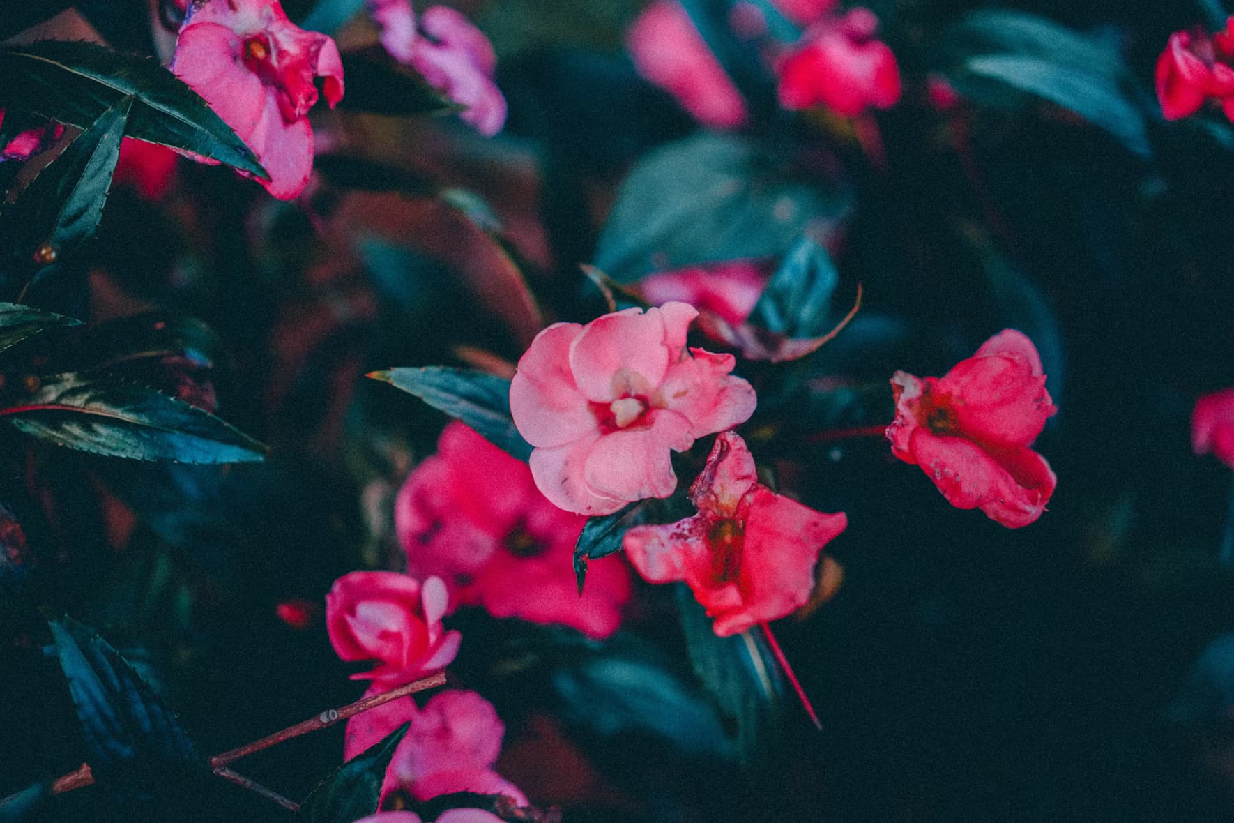 Manufacturing Evolution